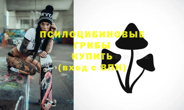 первитин Лиски