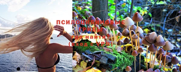 первитин Лиски