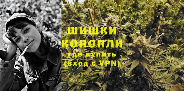 прущие грибы Липки