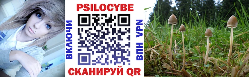 купить закладку Ликино-Дулёво Псилоцибиновые грибы GOLDEN TEACHER
