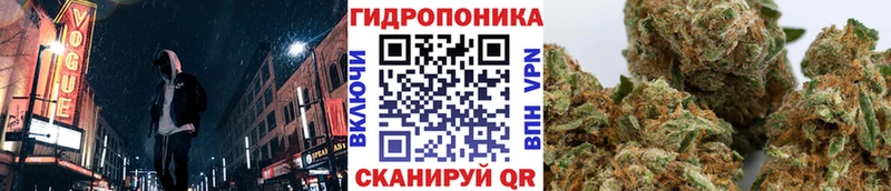 Конопля планчик  Ликино-Дулёво 